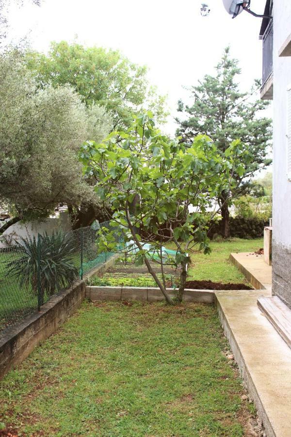 Turkovic Apartments Zgaljic Exterior photo